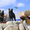 タロとジロ