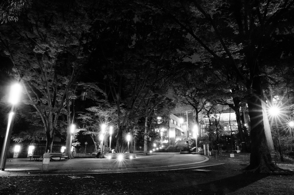 monochrome