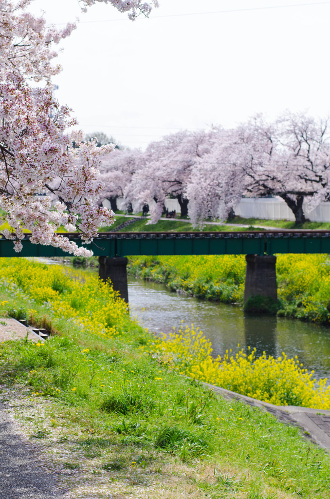 四月　市内の名所