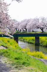 四月　市内の名所