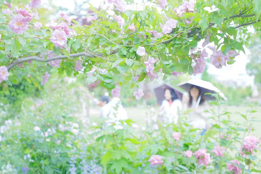 楽園で女子会