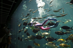箱根園水族館