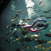 箱根園水族館
