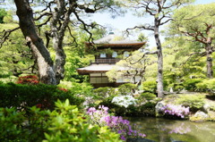 慈照寺の庭園