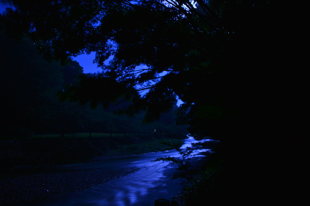 Night River