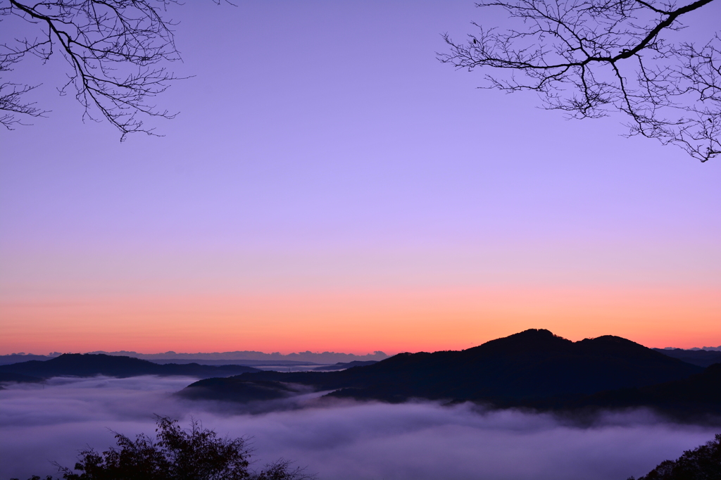 雲海