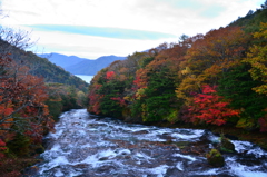 竜頭の滝（滝上