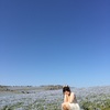お花畑