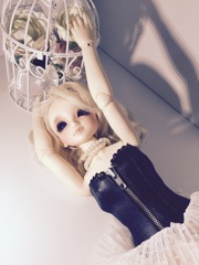 ドール
