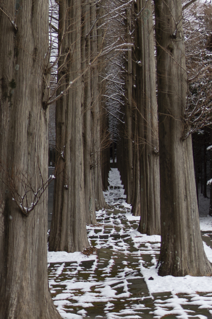雪