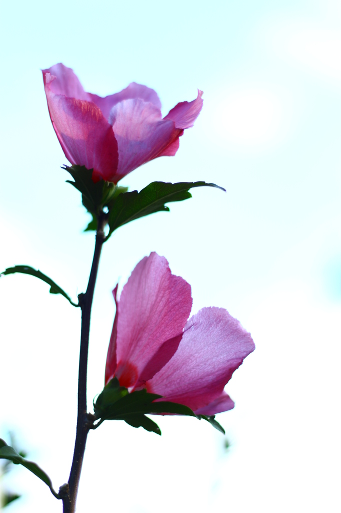 空に向かえ