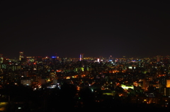 札幌の夜景