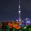 スカイツリーと花✿