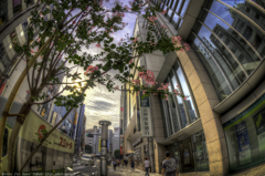 渋谷センター街