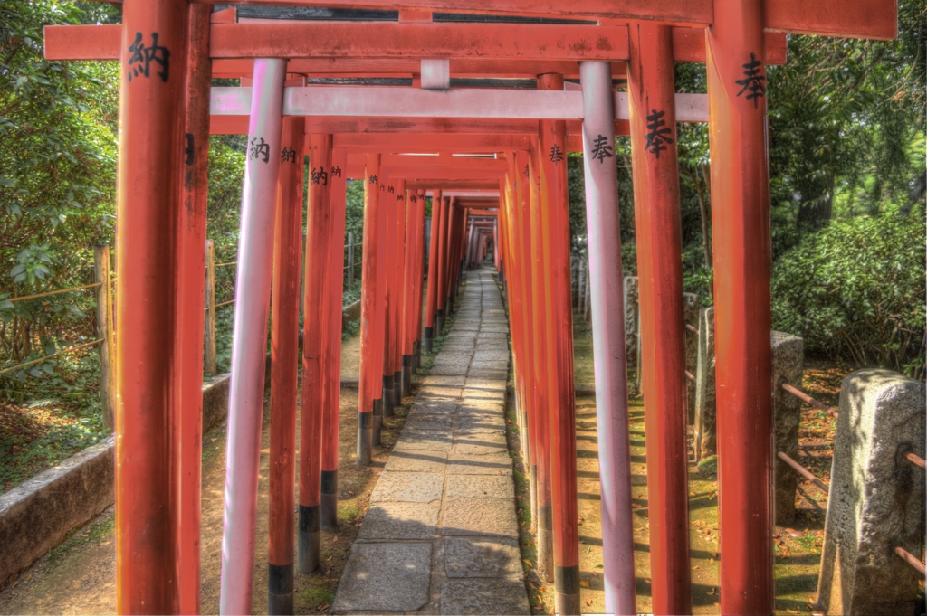 根津神社/乙女稲荷神社の千本鳥居