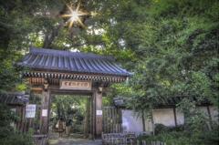 名主の滝公園