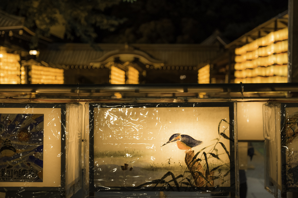 夏の夜の灯火