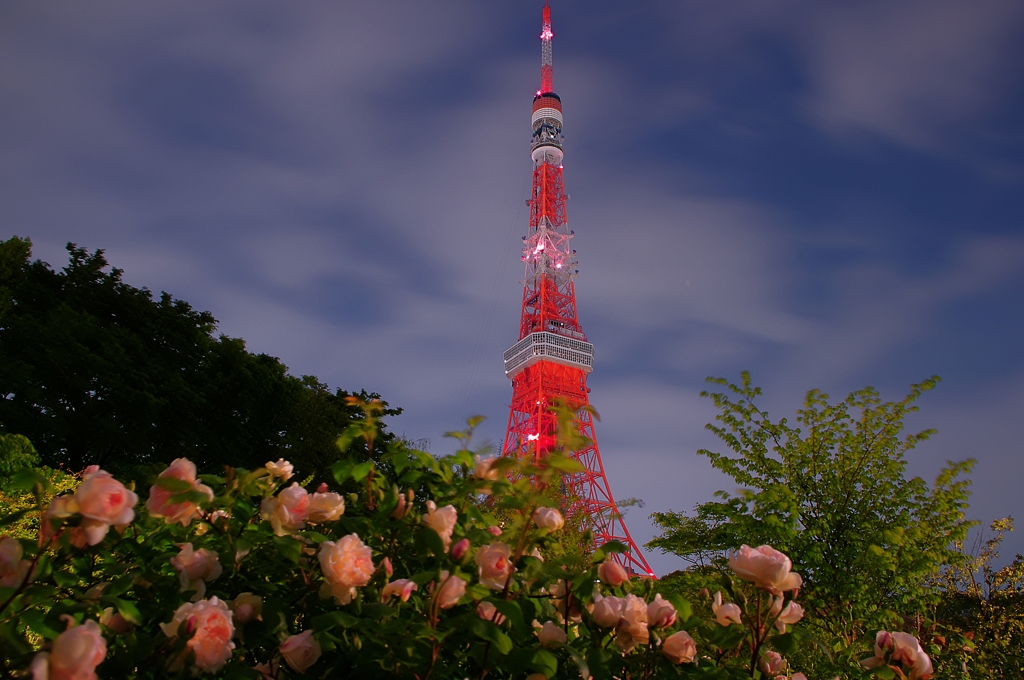 ザ・プリンスパーク＆東京タワー
