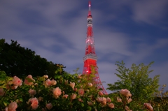 ザ・プリンスパーク＆東京タワー