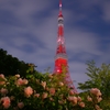 ザ・プリンスパーク＆東京タワー