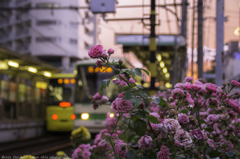 夕暮れ都電町屋駅前