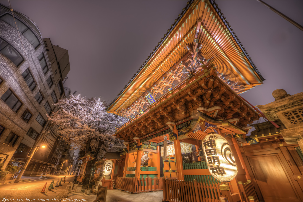 神田明神　夜桜