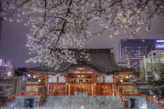 お江戸新宿花園神社