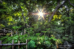 名主の滝公園