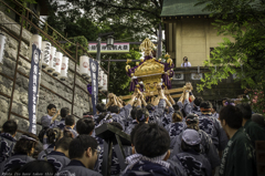 東京四谷須賀神社例祭