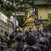 東京四谷須賀神社例祭