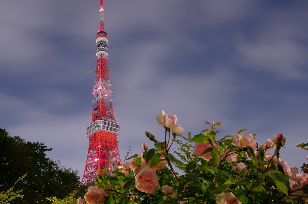 ザ・プリンスパーク＆東京タワー