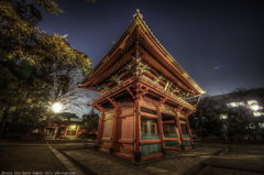 眠れずに叫ぶように　根津神社