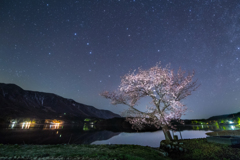 桜星景～青木湖の桜