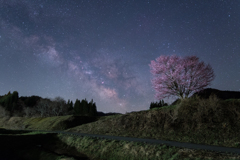 野平の一本桜と天の川