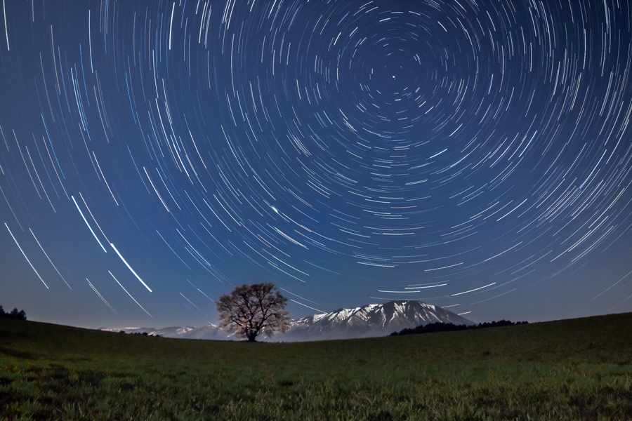 一本桜と星空