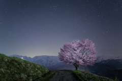 北アルプスと桜の星景写真