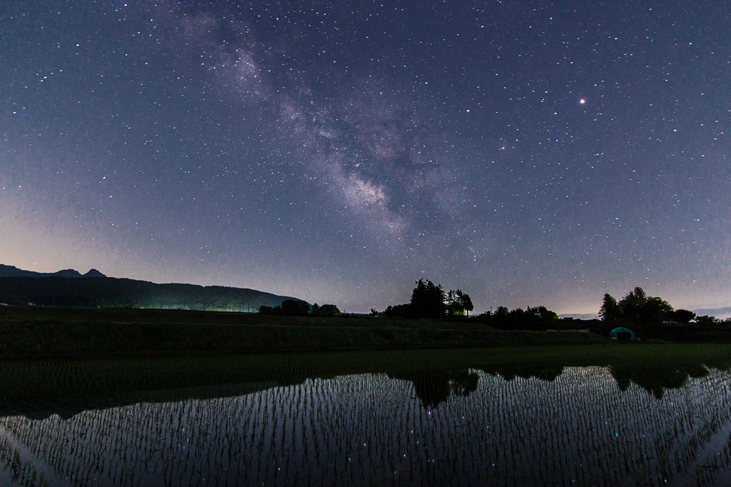 田んぼにちりばめられた星々