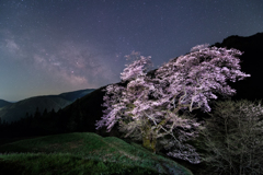 桜星景～駒つなぎの桜