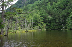IMGP3571