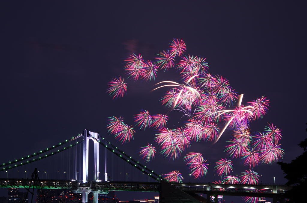 夏の夜の花