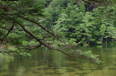 IMGP3573