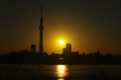 東京の日の入り