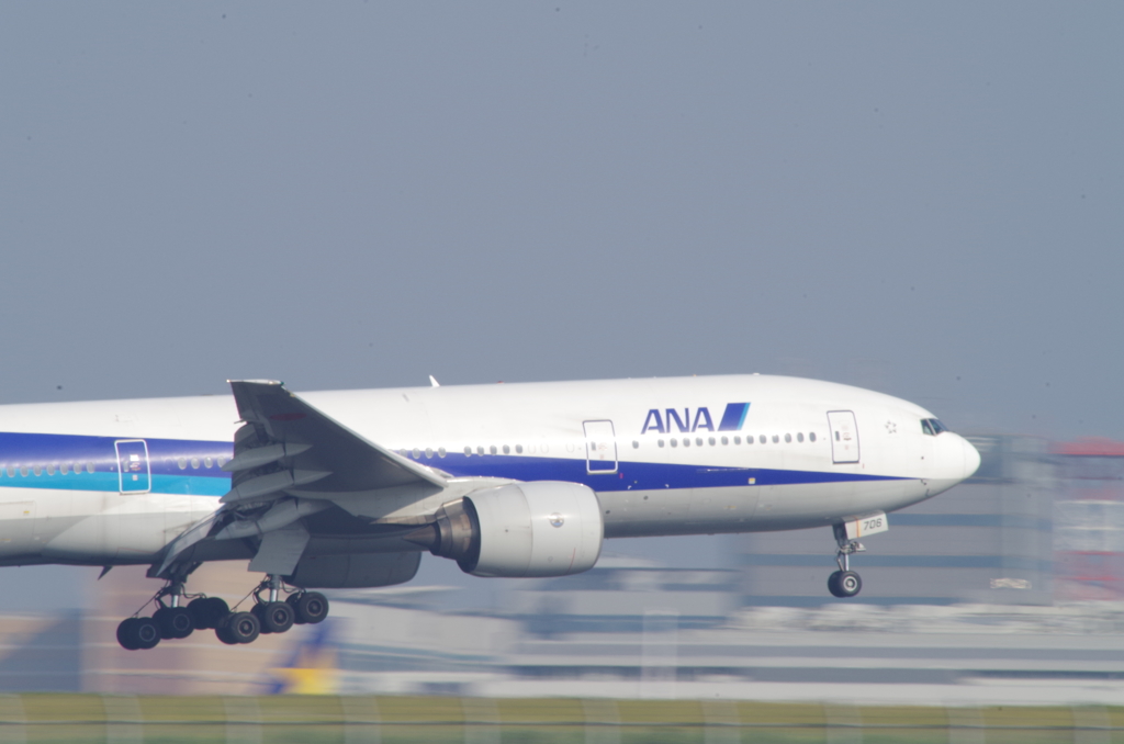 IMGP2955