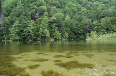 IMGP3562