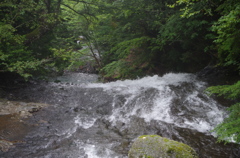 IMGP3682