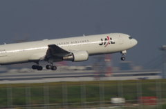 IMGP2971