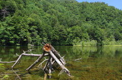 上高地 明神池