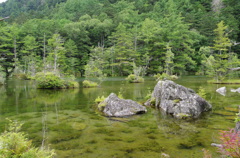 IMGP3582