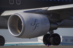 羽田空港　スターフライヤー
