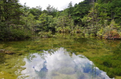 IMGP3593